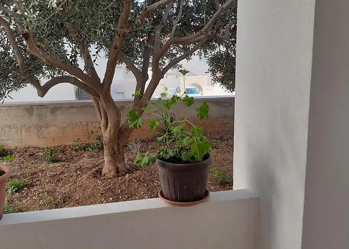 Savica Apartmán *