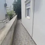 Savica Bol